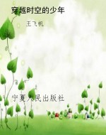 穿越时空的少年