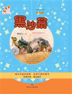 黑沙暴