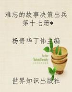 难忘的故事决策出兵第