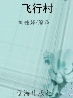 飞行村