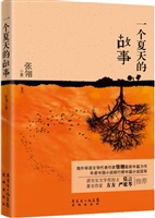 一个夏天的故事