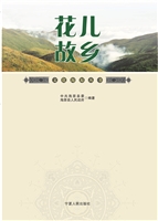 花儿故乡