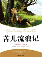 苦儿流浪记（青少版）