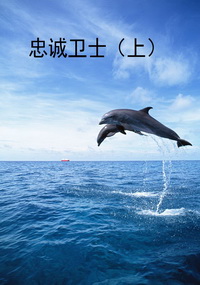 忠诚卫士（上）