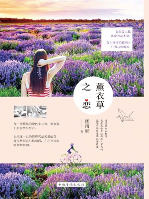 薰衣草之恋
