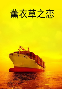 薰衣草之恋