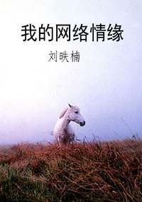 我的网络情缘