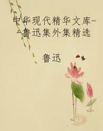 中华现代精华文库--鲁