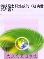 钢铁是怎样炼成的（经典