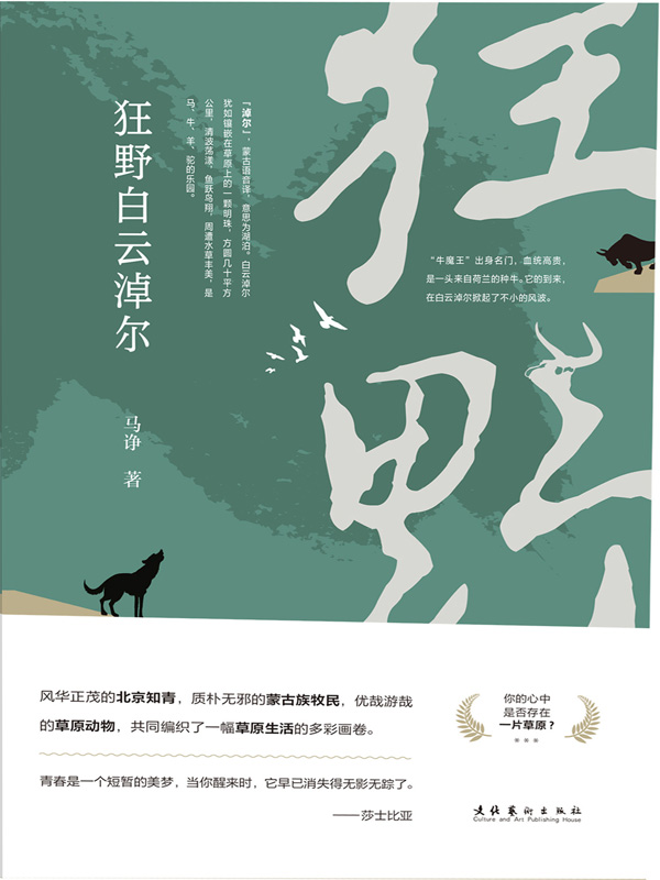 狂野白云淖尔