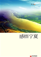 感悟宁夏