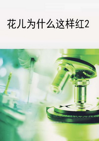 花儿为什么这样红2