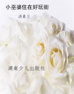 小巫婆住在好玩街