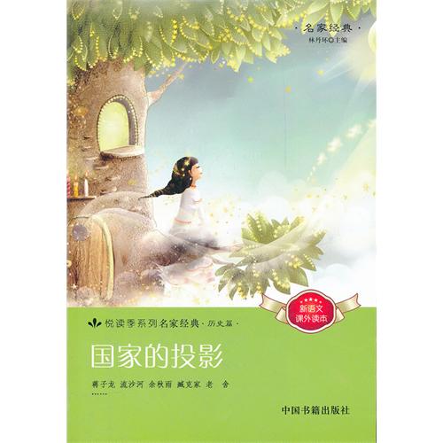 国家的投影