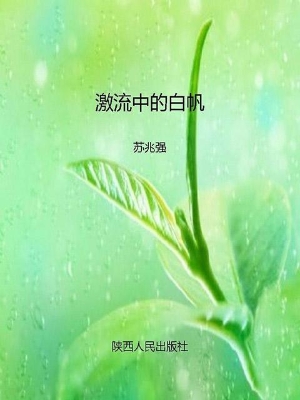 激流中的白帆