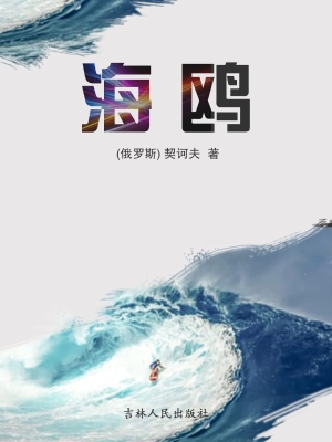 海鸥