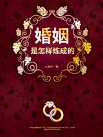 婚姻是怎样炼成的