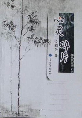 心灵碎片