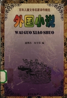 外国小说