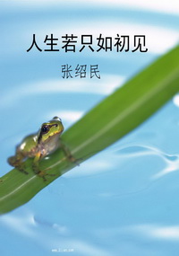 人生若只如初见