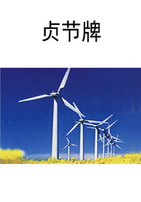贞节牌
