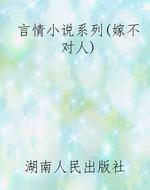 言情小说系列（嫁不对人