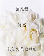 捕龙记