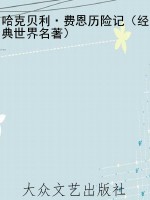 哈克贝利·费恩历险记