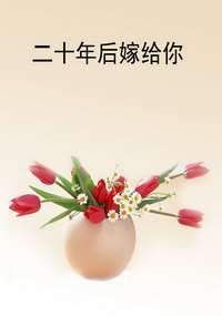 二十年后嫁给你