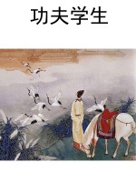 功夫学生