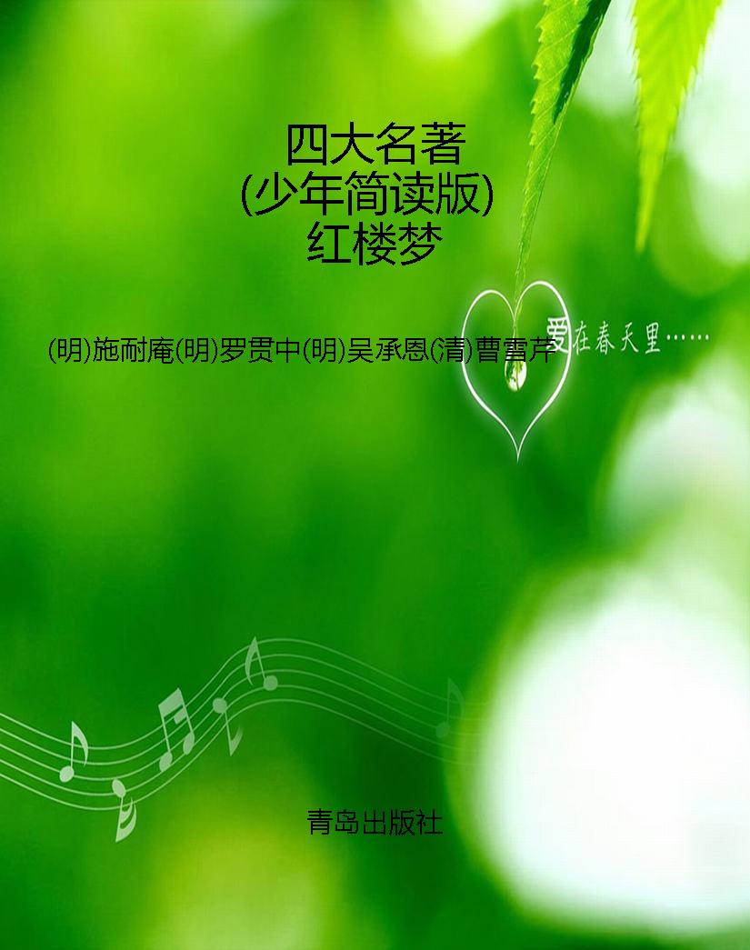 四大名著（少年简读版）红
