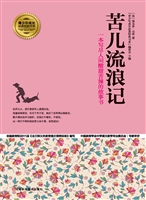 苦儿流浪记