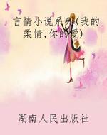 言情小说系列（我的柔情