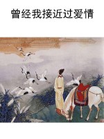 曾经我接近过爱情