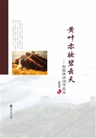 黄叶亦妆碧云天——赵