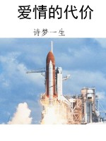 爱情的代价