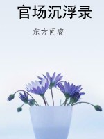 官场沉浮录
