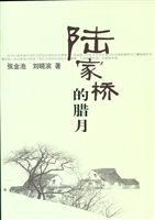 陆家桥的腊月