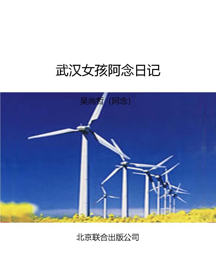 武汉女孩阿念日记