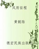 《风雨征程》