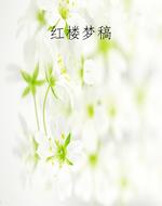 红楼梦稿