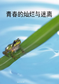 青春的灿烂与迷离
