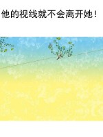 他的视线就不会离开她
