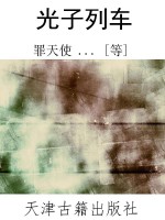 光子列车