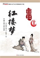 红楼梦