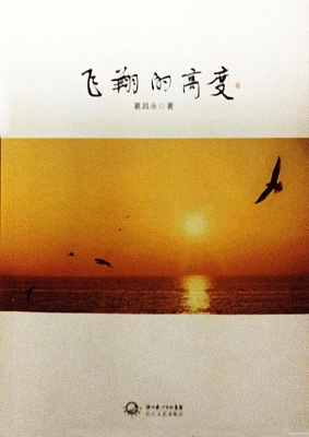 飞翔的高度