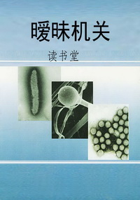 暧昧机关