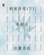 断案奇观(下)