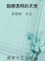 翅膀透明的天使