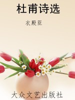 杜甫诗选
